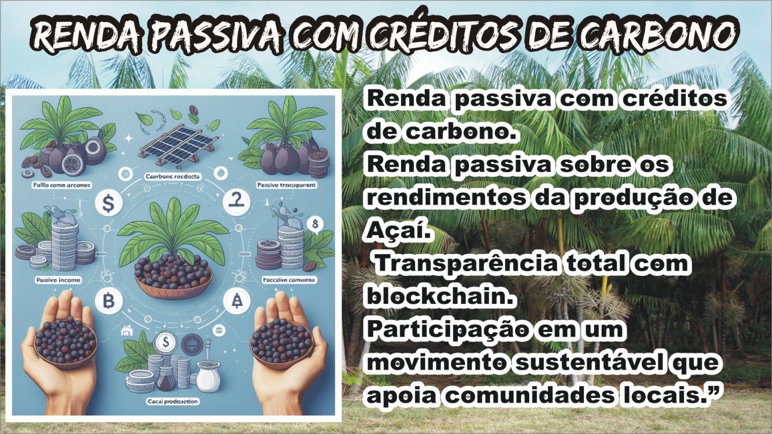 00-C-RENDA.jpg